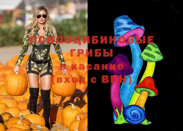 стаф Балахна