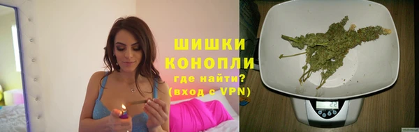 стаф Балахна