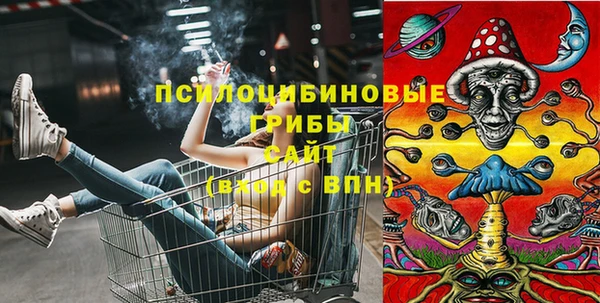 стаф Балахна
