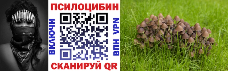 Псилоцибиновые грибы Psilocybine cubensis Сокол